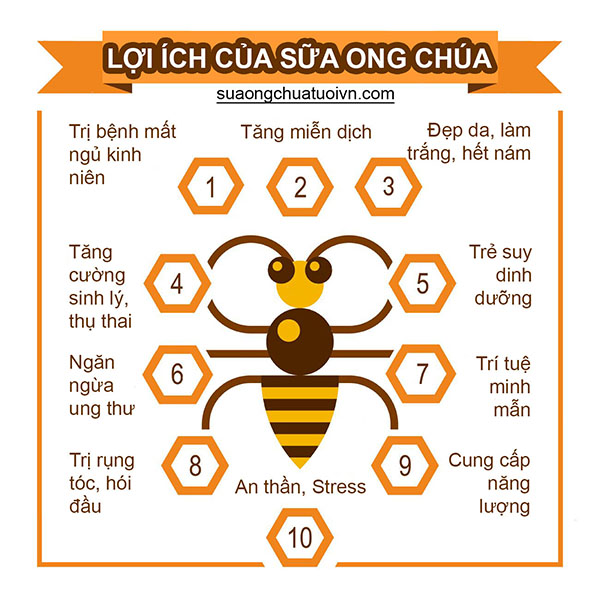 Mua Sữa Ong Chúa Tươi, Mật Ong Nguyên Chất Ở Đâu TPHCM? 02